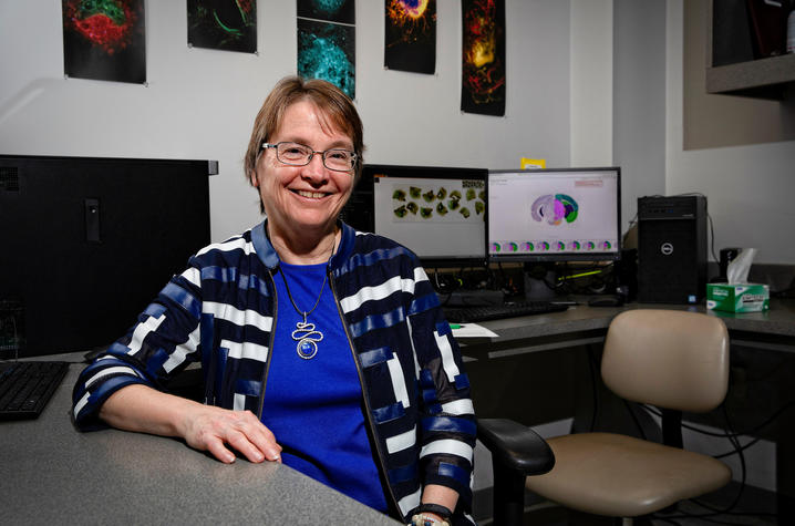 This is a phot of Linda Van Eldik, Ph.D. at the Sanders-Brown Center on Aging. Photo by Mark Cornelison | UK Photo