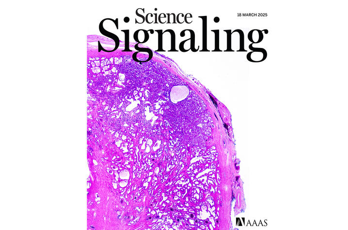 This is a photo of the cover of Science Signaling Vol. 18, Issue 878