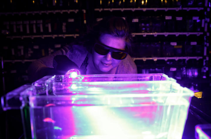 Jessica Blackburn’s research uses zebrafish, which offer important insights into cancer biology.