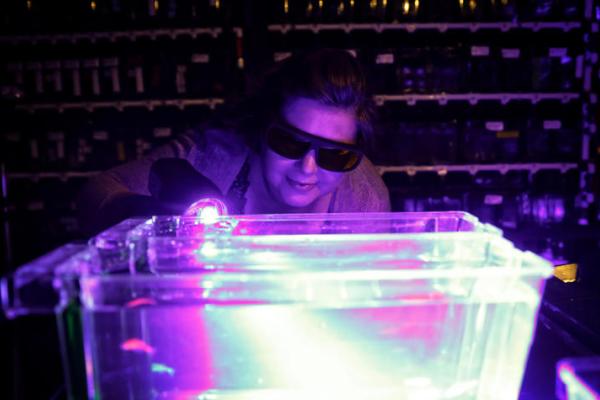 Jessica Blackburn’s research uses zebrafish, which offer important insights into cancer biology.