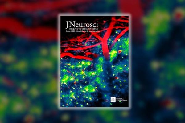 The cover image on this issue of The Journal of Neuroscience was taken by Blaine Weiss, first author on the paper and a graduate student in the Department of Pharmacology and Nutritional Sciences in the UK College of Medicine.