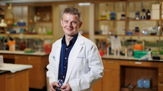 This is a photo of Kenneth Campbell, Ph.D., a professor of cardiovascular medicine and physiology in the UK College of Medicine. Mark Cornelison | UK Photo
