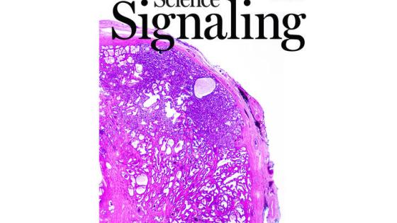 This is a photo of the cover of Science Signaling Vol. 18, Issue 878