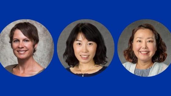 From left, Harmonie Bettenhausen, Tracy Lu and Min-Young Lee. Photos provided by Martin-Gatton CAFE.