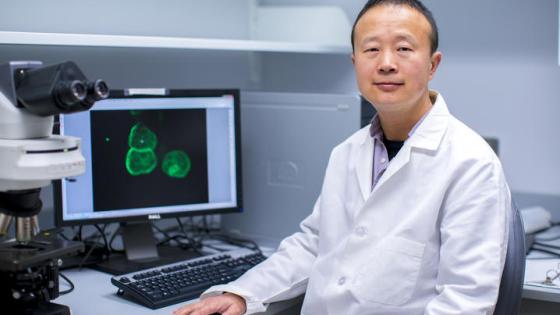 A picture of Markey researcher Ren Xu, Ph.D. Ben Corwin.