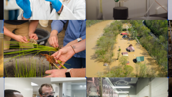 Collage of people working in different sectors of research. 