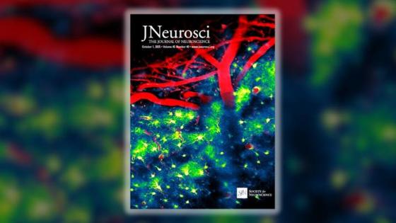 The cover image on this issue of The Journal of Neuroscience was taken by Blaine Weiss, first author on the paper and a graduate student in the Department of Pharmacology and Nutritional Sciences in the UK College of Medicine.